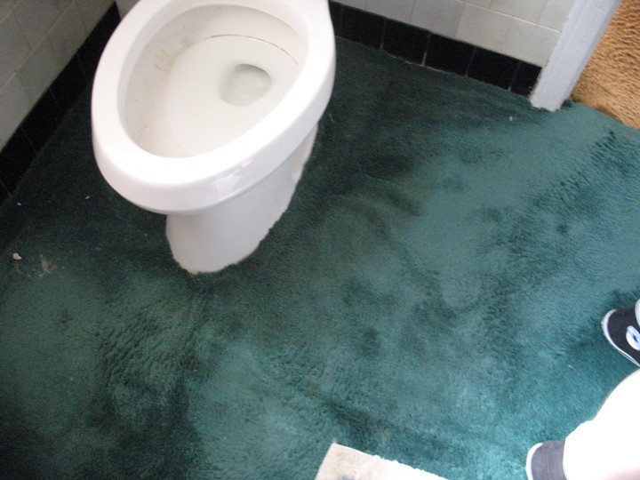 Green Bathroom Carpet 1 